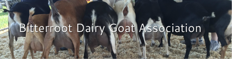 Dairy Goat Show